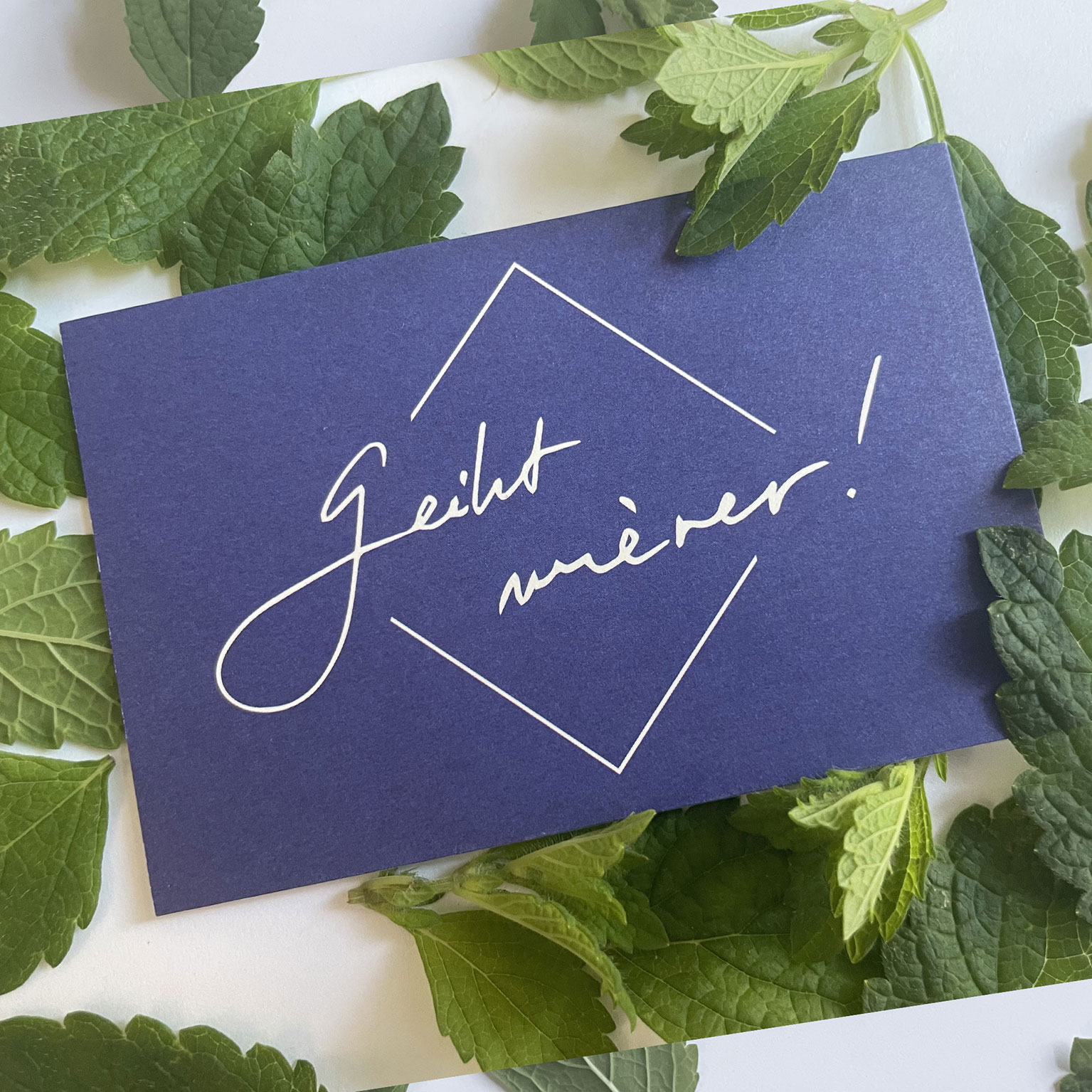 Max Lindow Literaturgesellschaft Visitenkarte