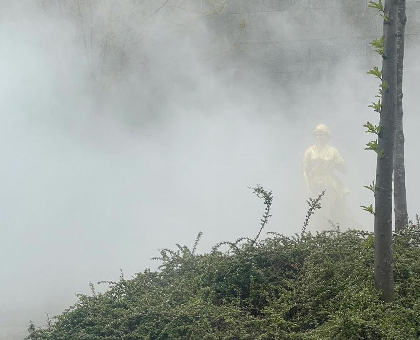 Nebel Nationalgalerie Berlin Garten